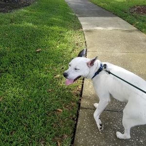 Meet your Posher, Gregory